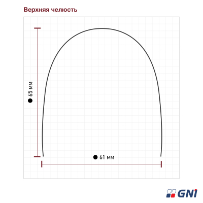 Дуга SS Natural 12 U