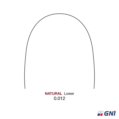 Дуга SS Natural 12 L